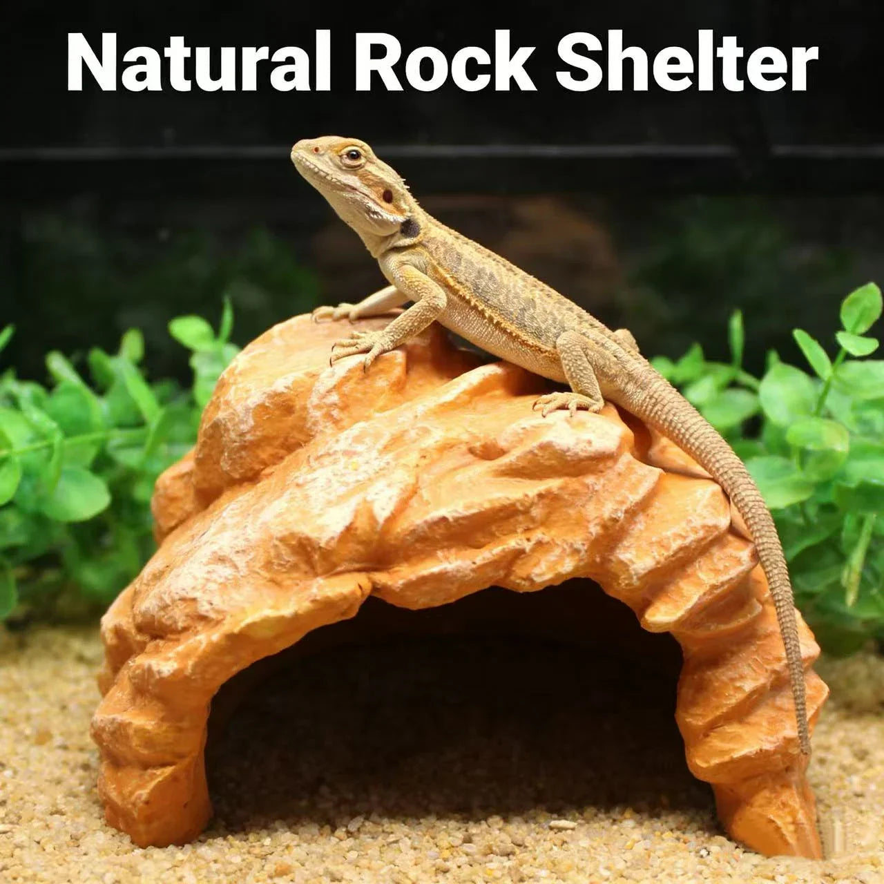 Hideout Shelter Lizard Cave for Reptiles (Lizards) - Realistic Rock Texture Durable Resin Multi-Color