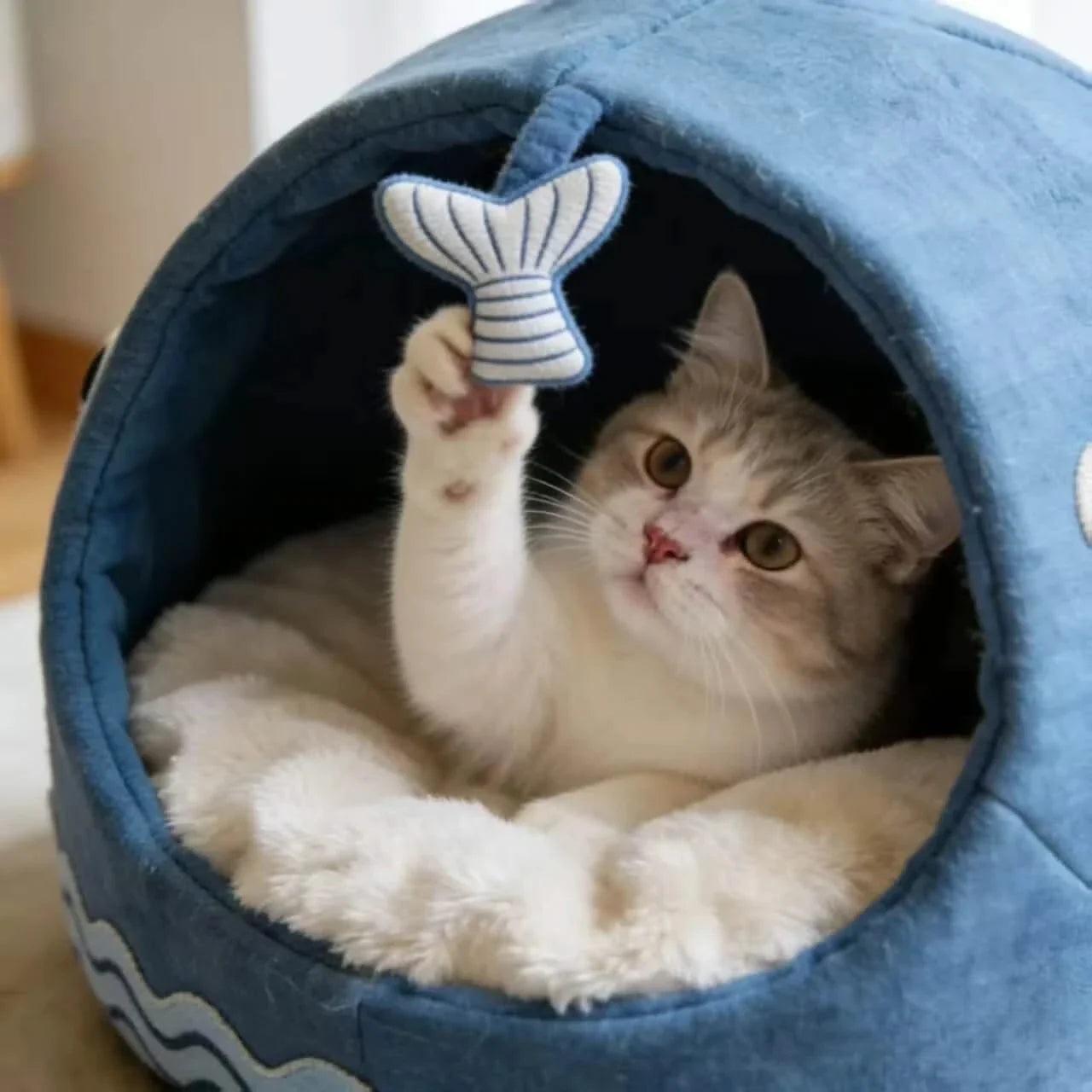Playful Cat Bed, Whale Cave Design, Canvas Exterior, Entertainment Set, Blue