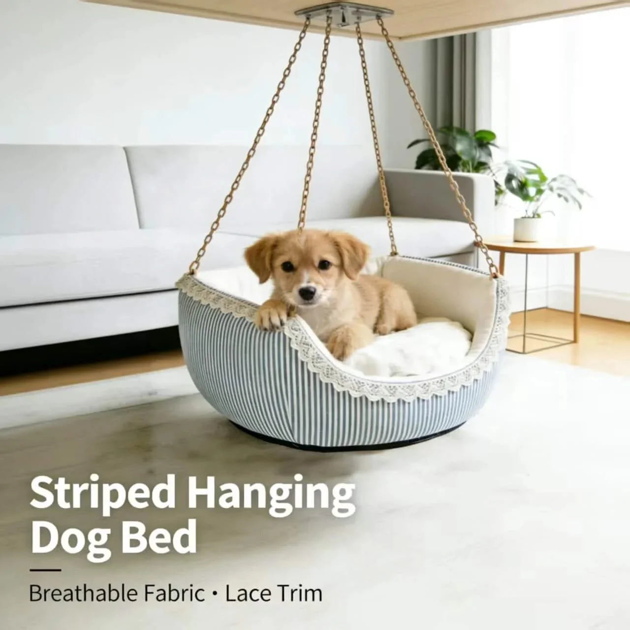 Breathable Hanging Pet Bed for Dogs, Striped Type, Lace Trim, Blue/White