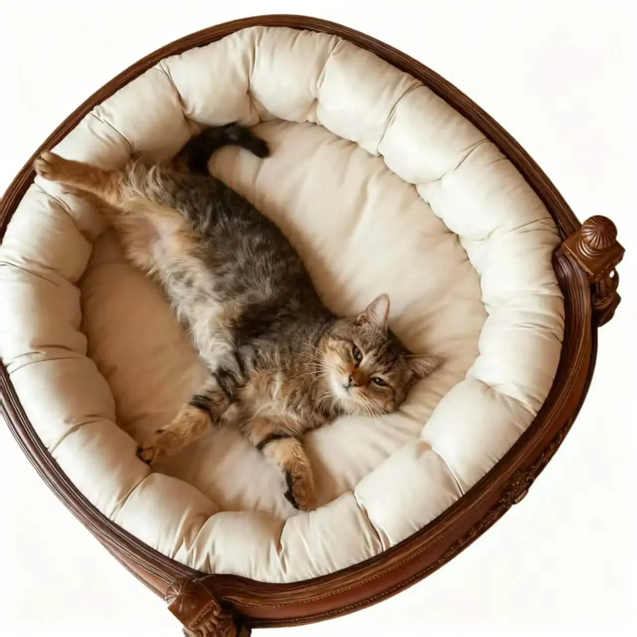 Luxury Cat Bed,  Marble-Print Cloth, Brown/White, Plush Pad, All-Season Comfort