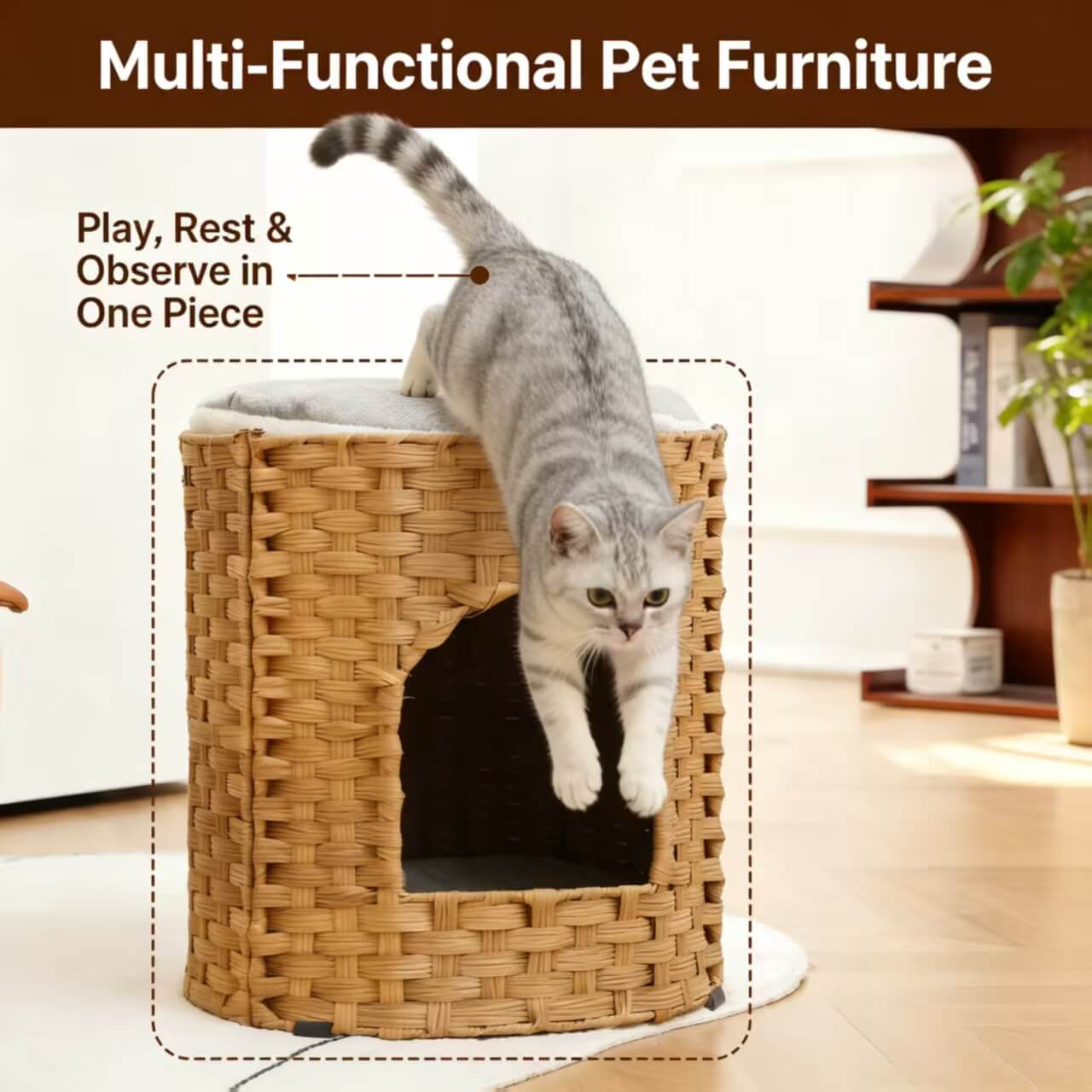 Premium Handwoven Rattan Cat House: Large Double Bed for Indoor Cats