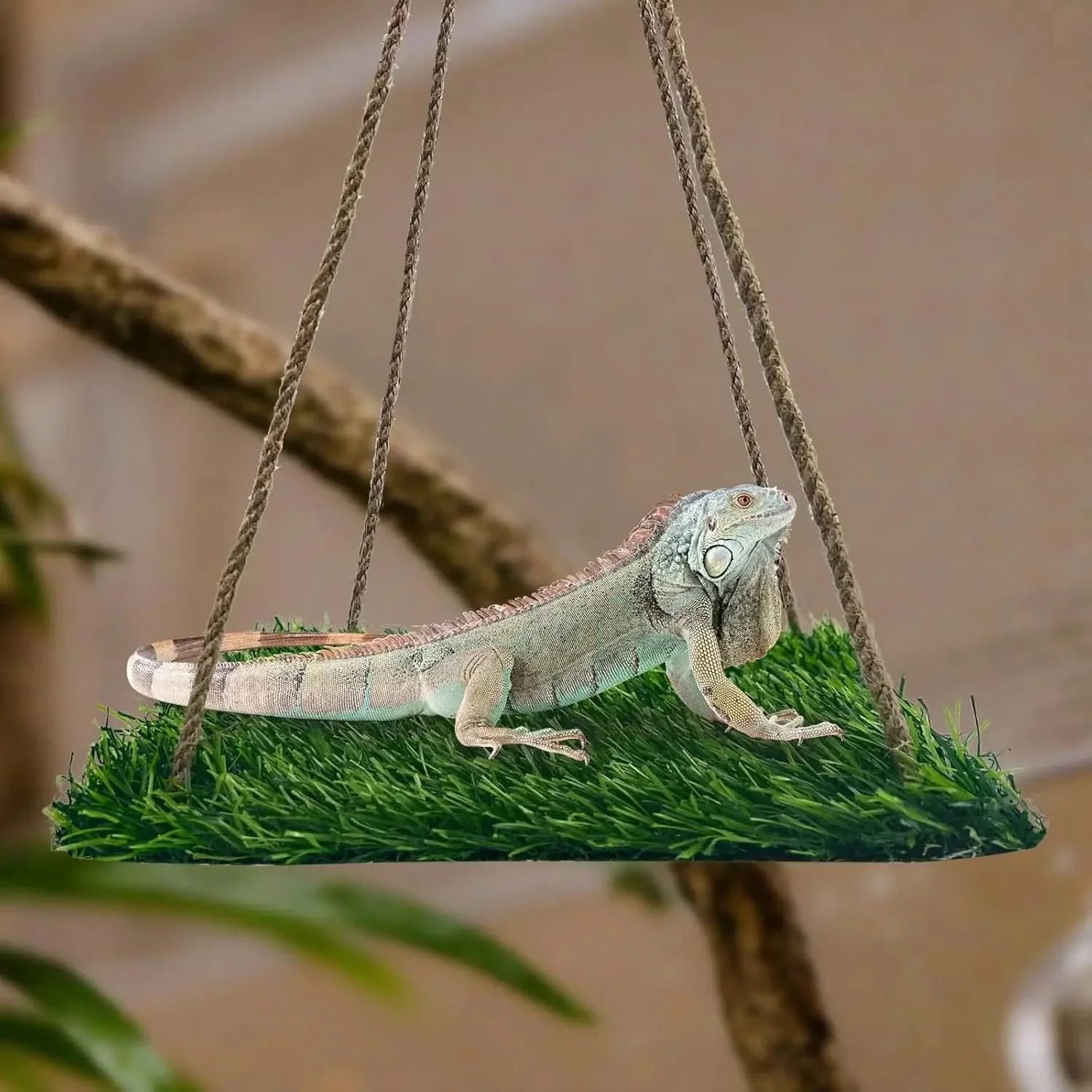 FlidRunest Large Green Soft Hammock for Bearded Dragons, Lizards & Reptiles