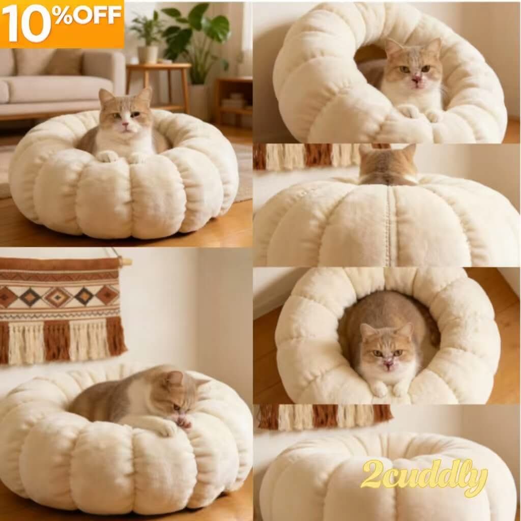 Pumpkin-Shaped Pet Bed for Cats - Cream, Plush, Soft Cushion, Cozy Design, All-Season