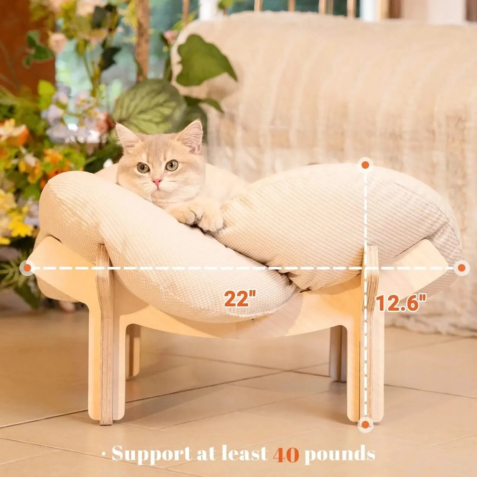 Elevated Wooden Cat Bed Sofa with Plush Cushion for Indoor Comfort
